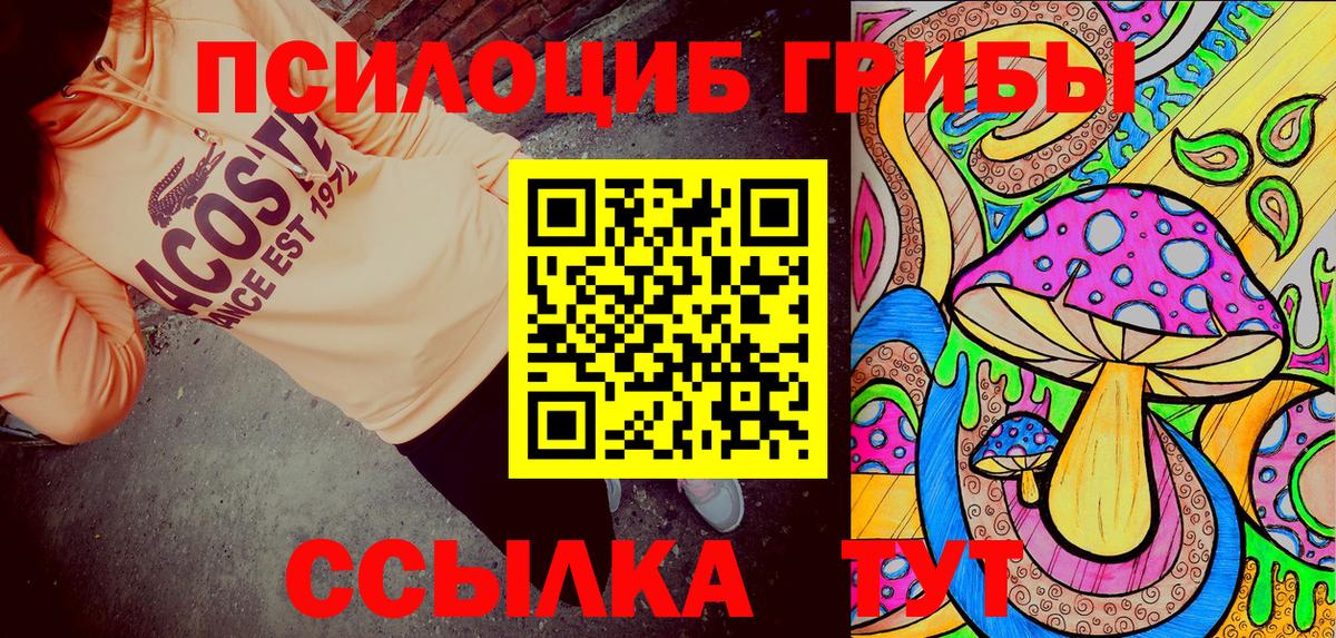 Галлюциногенные грибы Cubensis Элиста