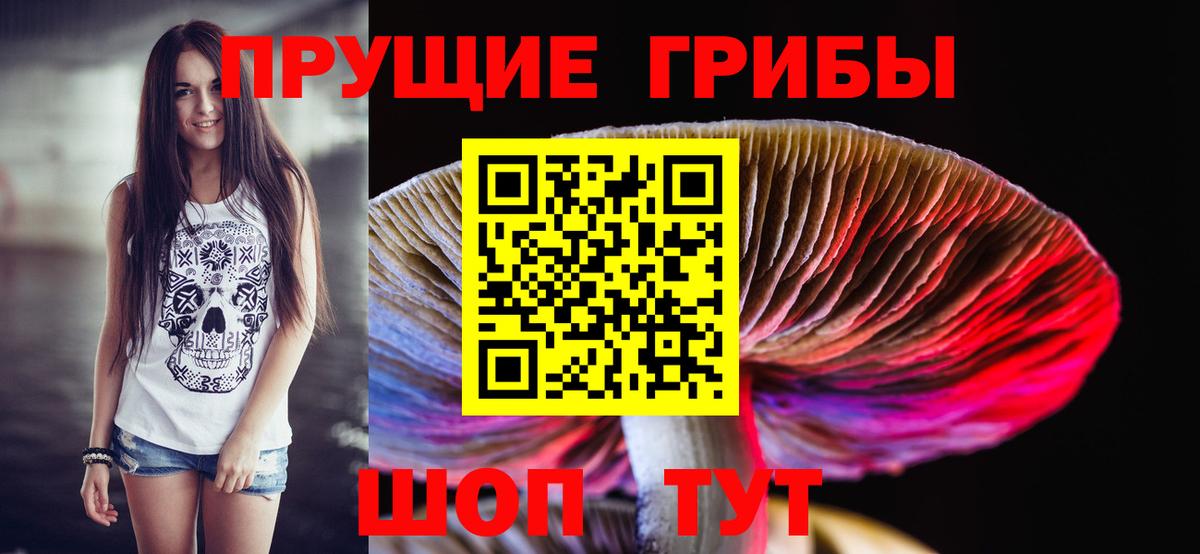 Элиста  Галлюциногенные грибы GOLDEN TEACHER  где можно купить   Вход с VPN 