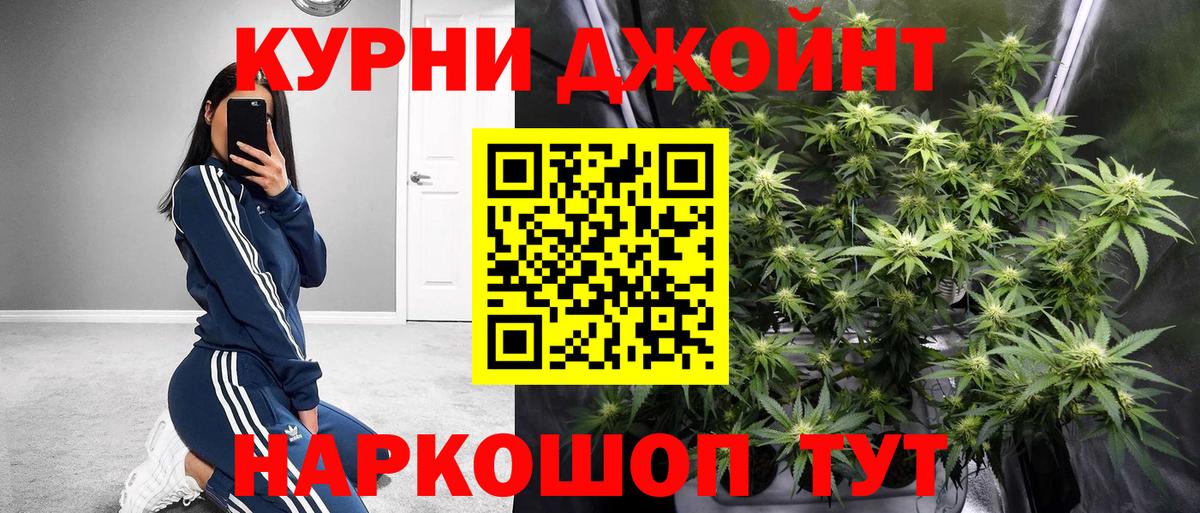 Конопля планчик Элиста